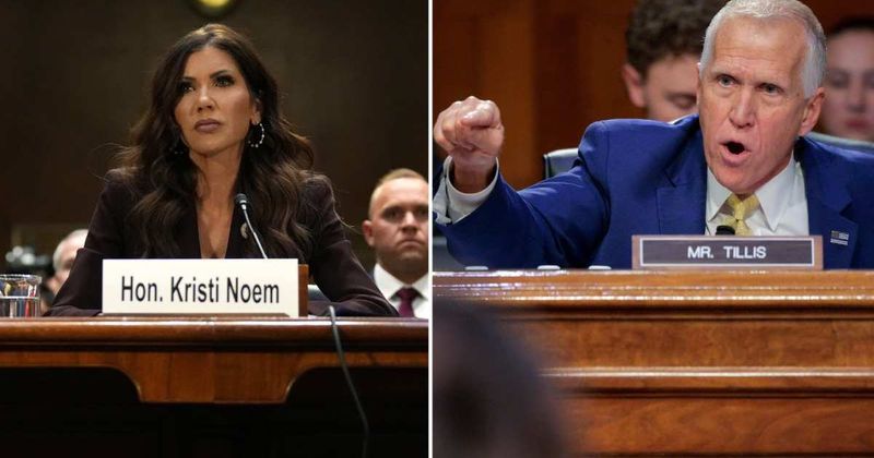 'That is stonewalling': Thom Tillis calls out Kristi Noem's 'failure of leadership' during Senate hearing