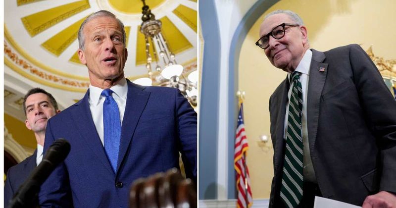 Senate split on SAVE America Act as debate intensifies, here's where the legislation stands