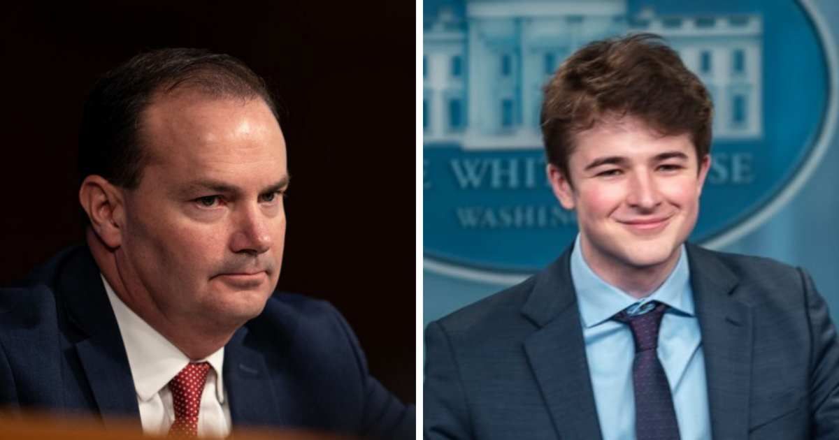 (L) Utah Senator Mike Lee and (R) Harry Sisson (Cover Image Source: (L) Getty Images | Photo by Erin Schaff ;  (R) X | @harryjsisson) 