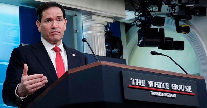 'Beyond parody': Marco Rubio ridiculed over bizarre UFC remark