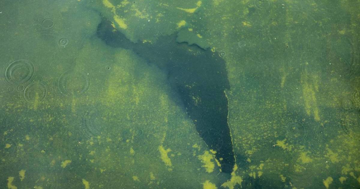 Seen through algae-laden green water, a tear in the recently applied sealant can be seen on the bottom of the Lincoln Memorial Reflecting Pool in Washington, DC (Cover Image Source: Getty Images | Photo by Chip Somodevilla)