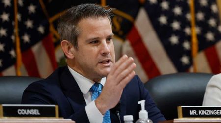 'This is insane': Adam Kinzinger slams Reflecting Pool vandalism arrests