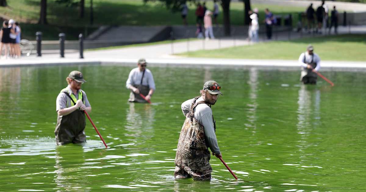 National Park Service employees work to clean up algae in the Lincoln Memorial Reflecting Pool on June 14, 2026 (Cover Image Source: Getty Images | Photo by Tasos Katopodis)