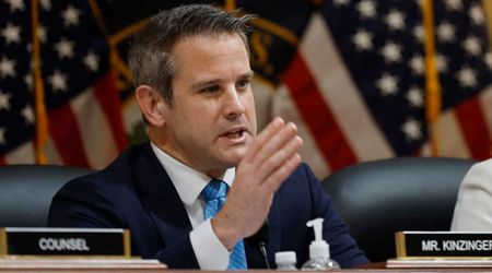 'Most evil in this country': Adam Kinzinger slams people calling for ICE to go after pregnant women